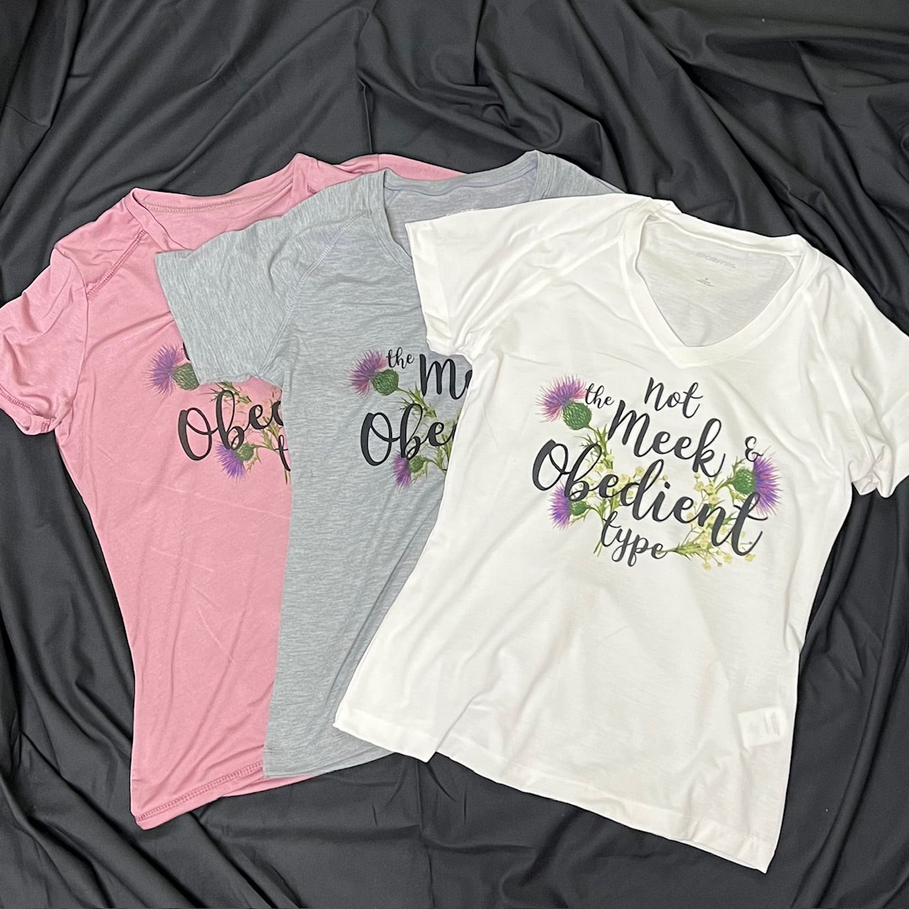 Not the Meek & Obedient Type Women's V-Neck Shirt