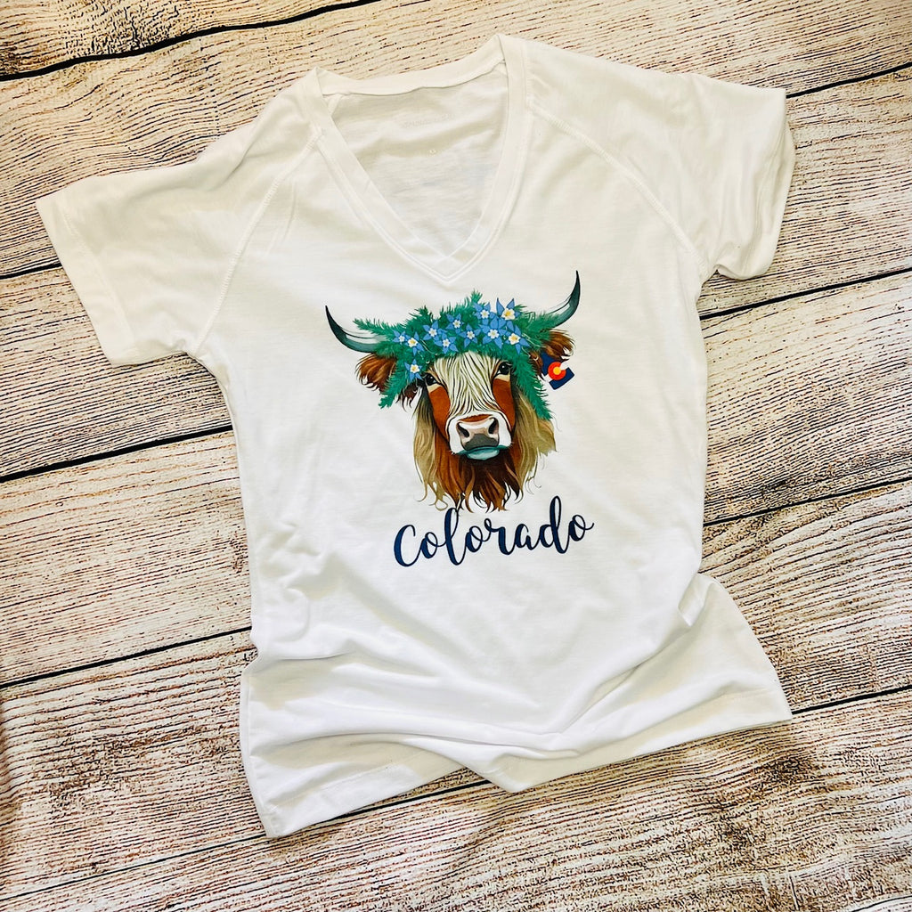 Choose Your State - Highland Coo Women's V-Neck Shirts